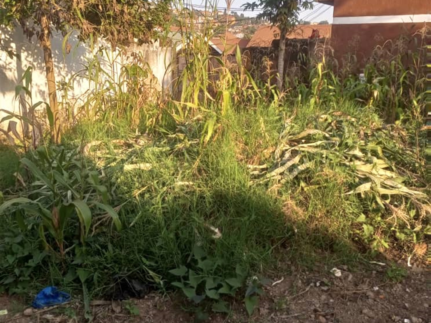 Residential land for sale in Kisaasi Kampala Uganda