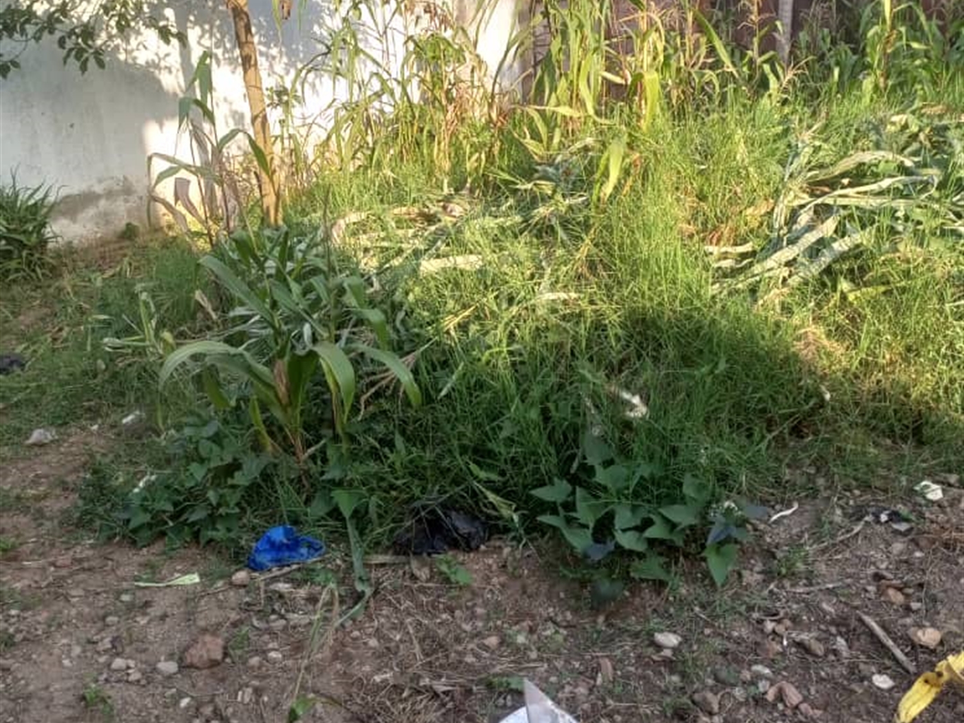 Residential land for sale in Kisaasi Kampala Uganda