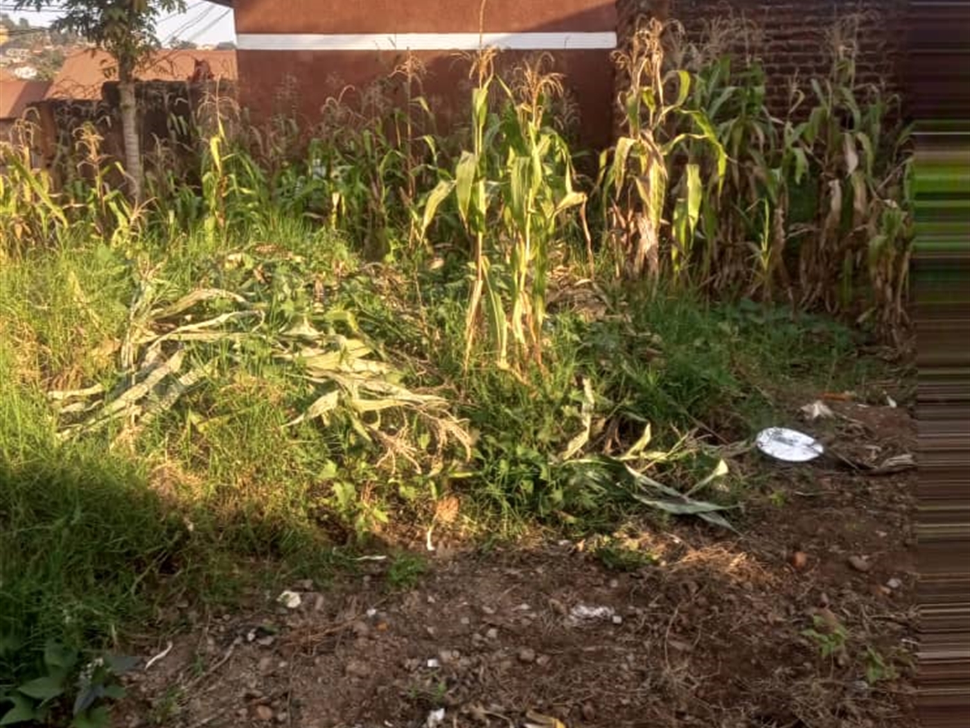 Residential land for sale in Kisaasi Kampala Uganda