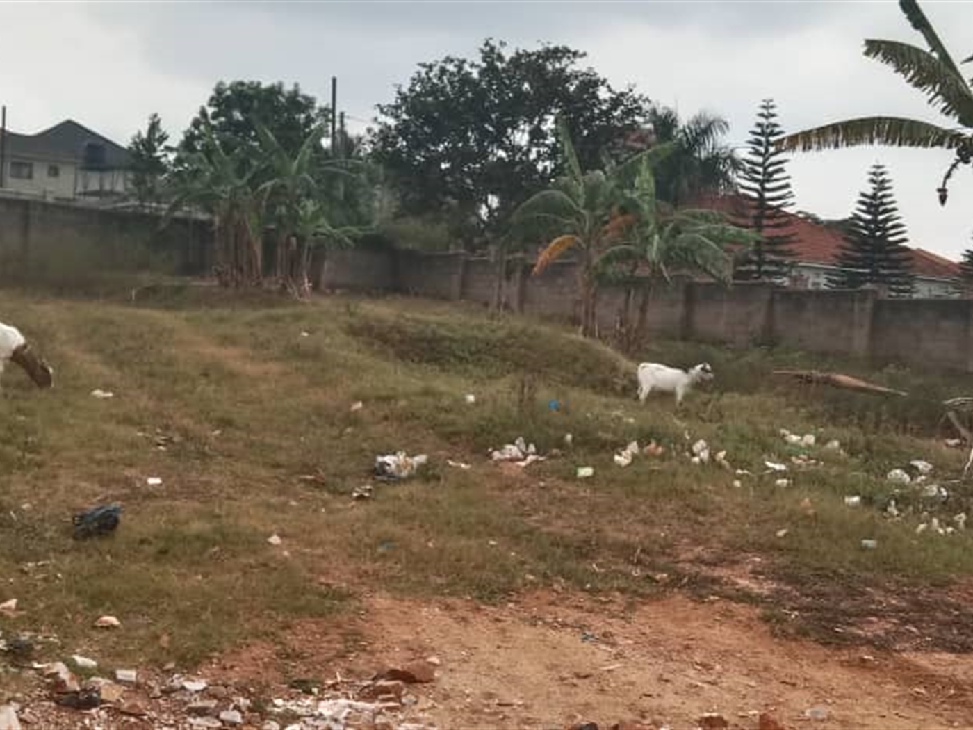 Residential land for sale in Kisaasi Kampala Uganda