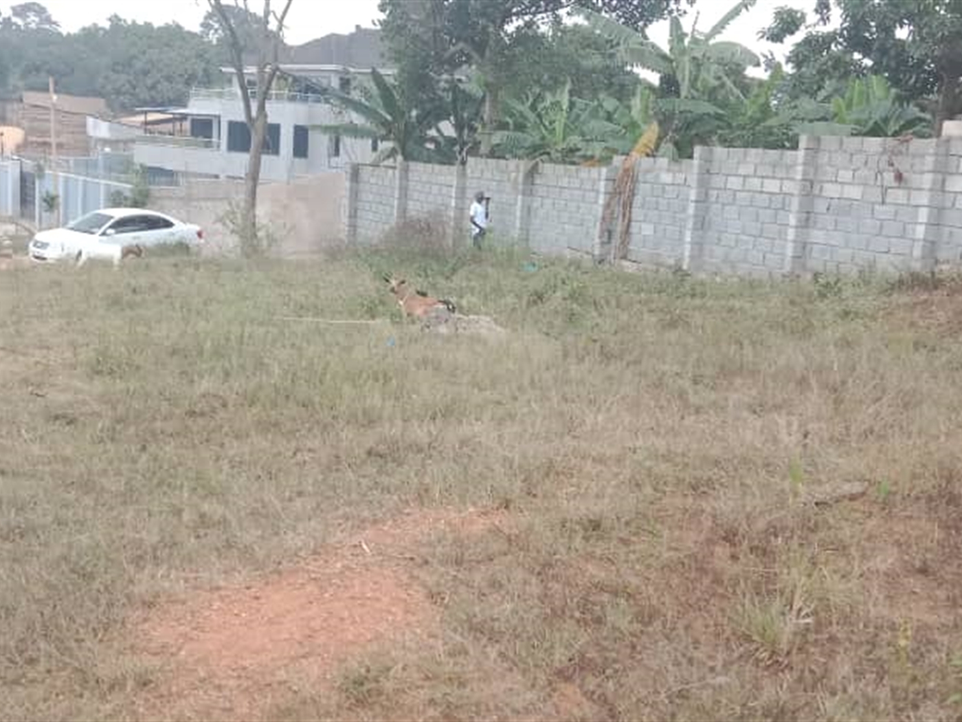 Residential land for sale in Kisaasi Kampala Ugand...