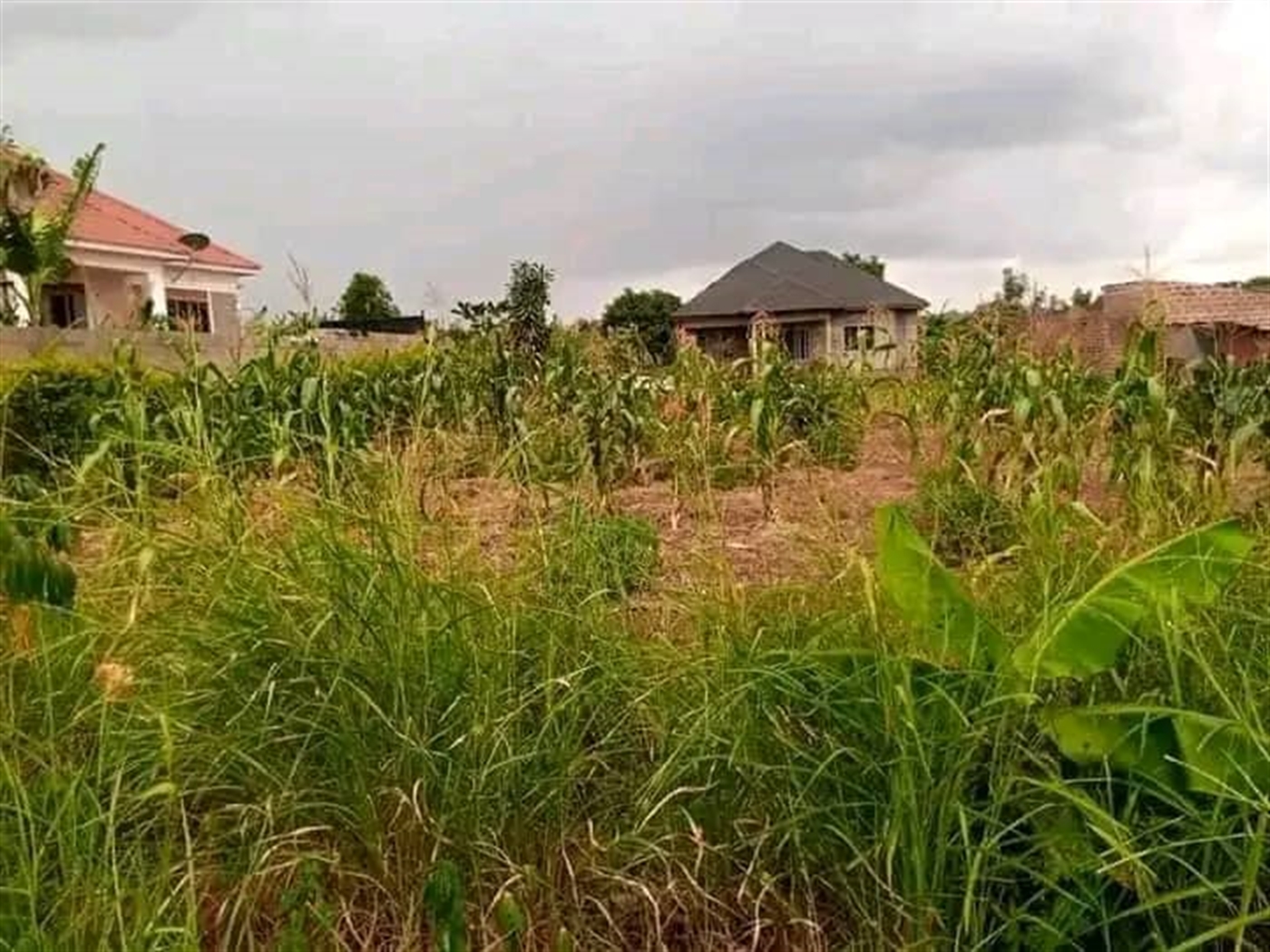 Residential land for sale in Namugongo Wakiso Uganda