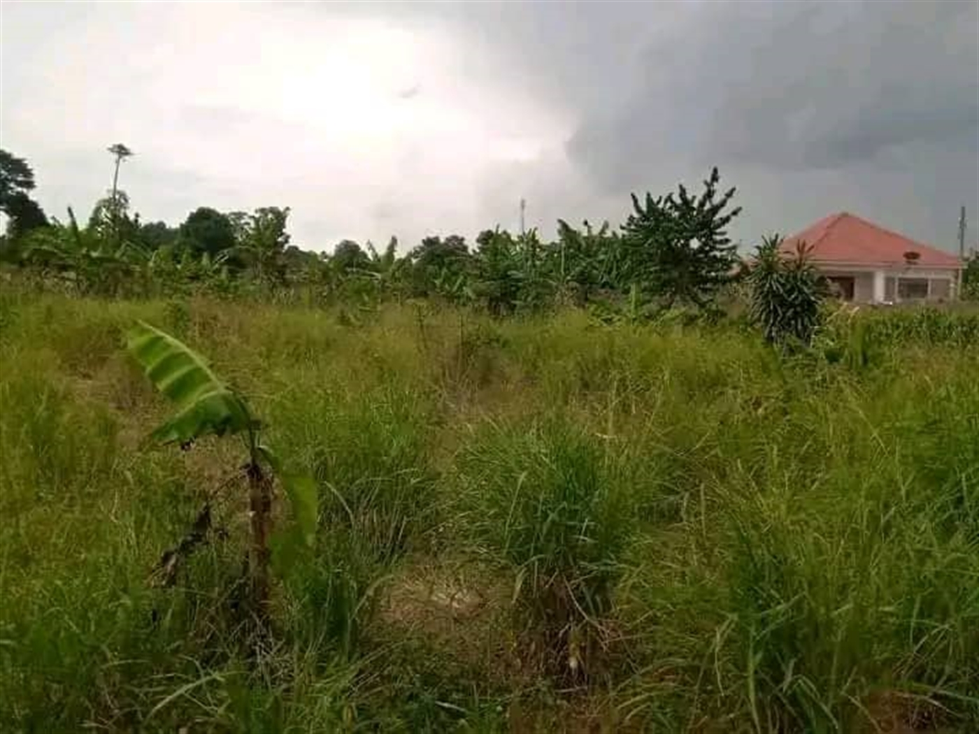 Residential land for sale in Namugongo Wakiso Uganda