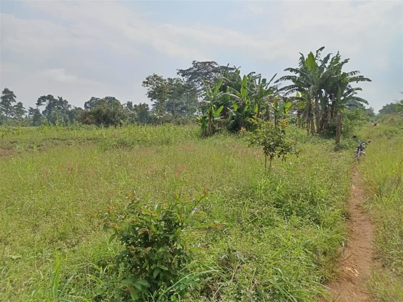 Residential land for sale in Namugongo Wakiso Uganda