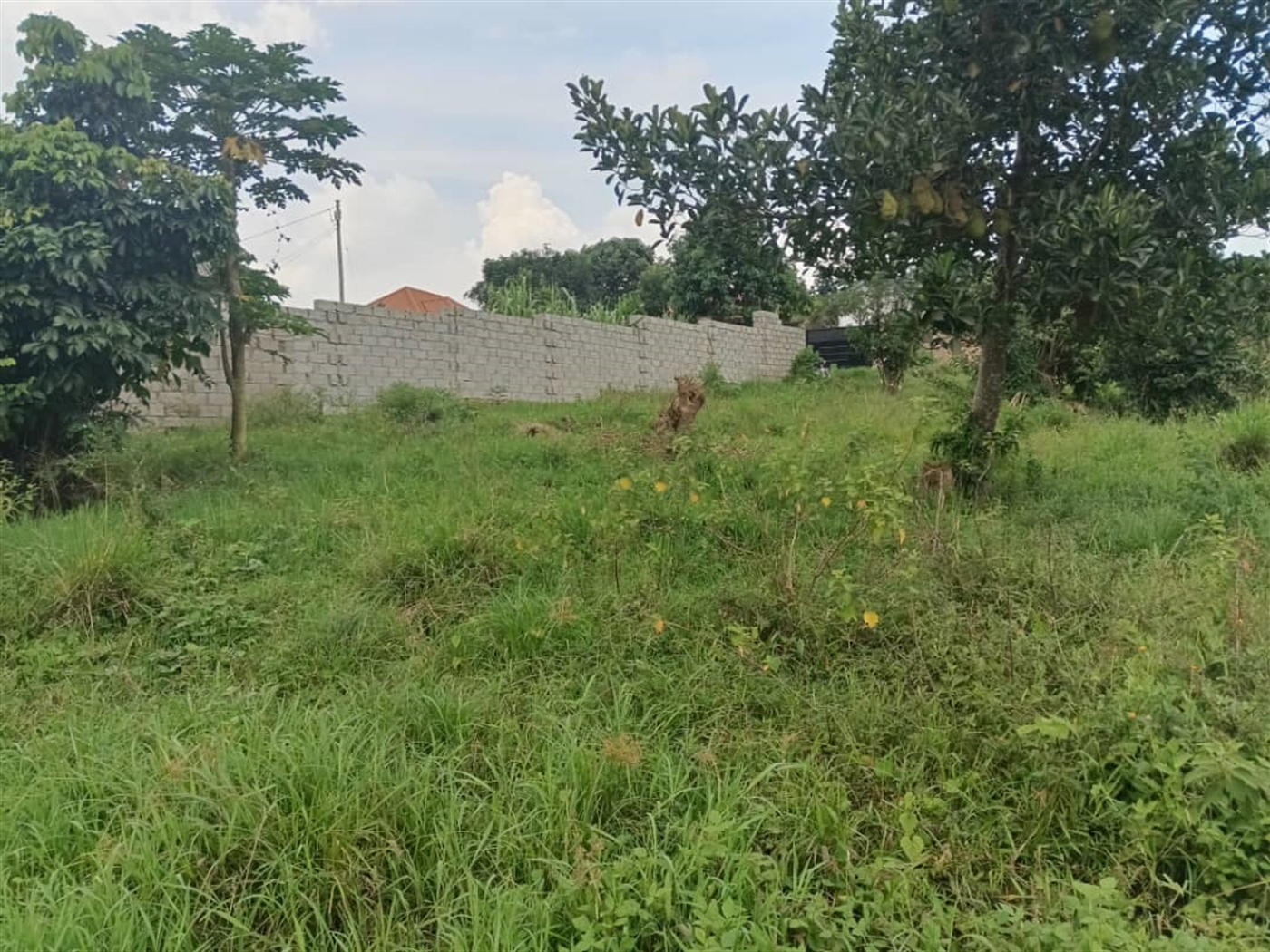 Residential land for sale in Namugongo Wakiso Uganda