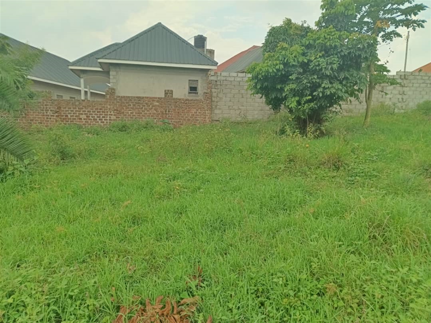 Residential land for sale in Namugongo Wakiso Uganda