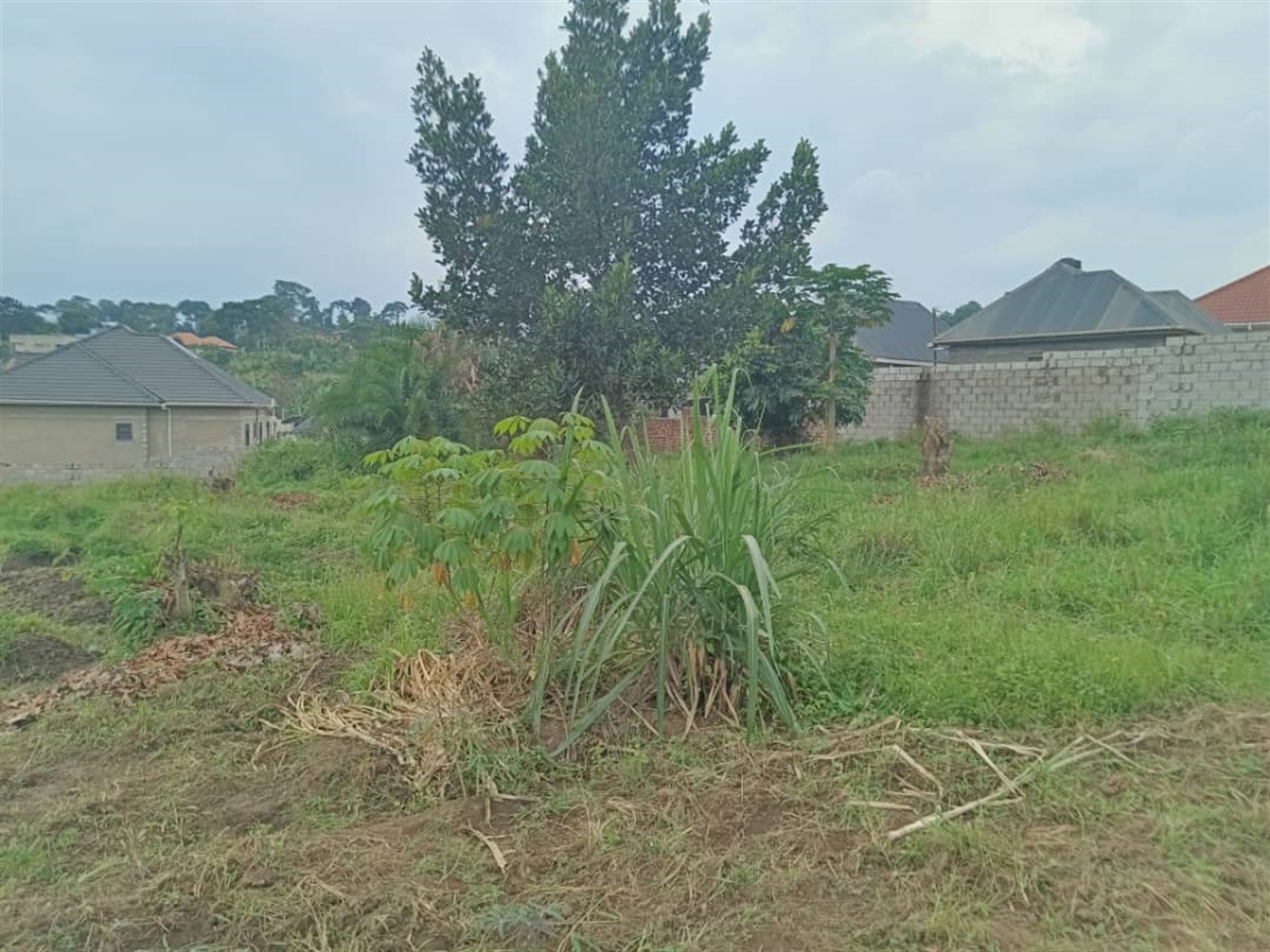 Residential land for sale in Namugongo Wakiso Uganda