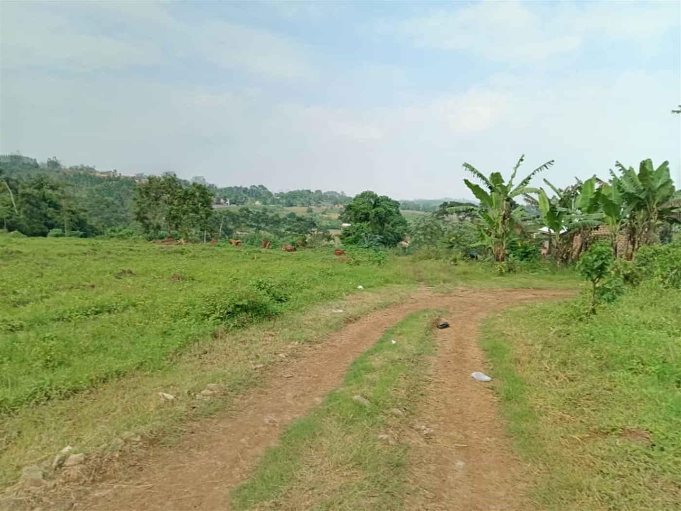Residential land for sale in Namugongo Wakiso Uganda