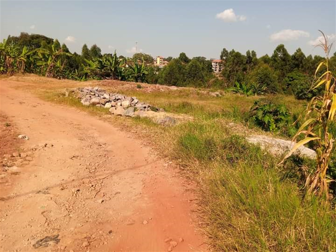 Residential land for sale in Namugongo Wakiso Uganda
