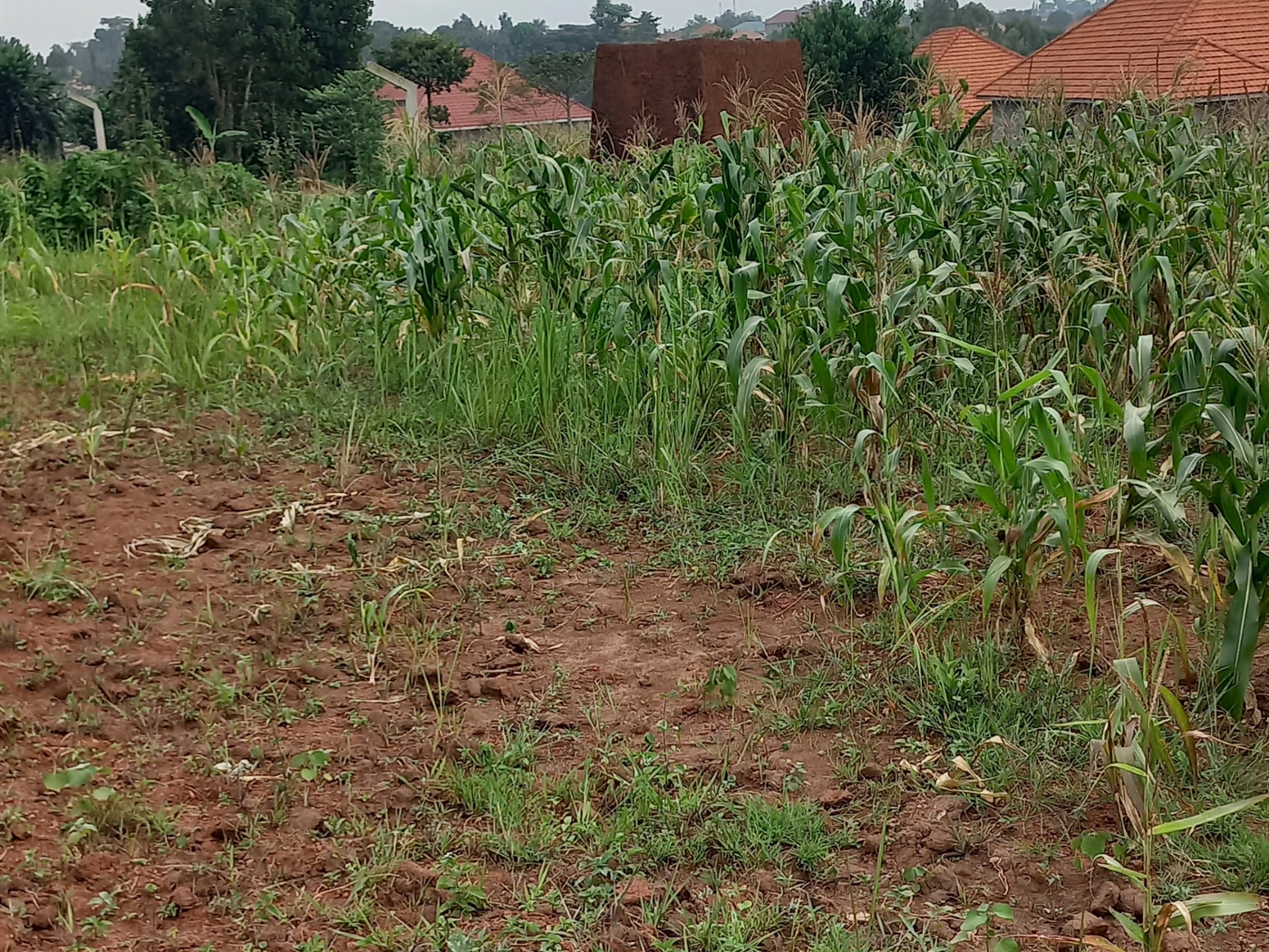 Residential land for sale in Namugongo Wakiso Uganda