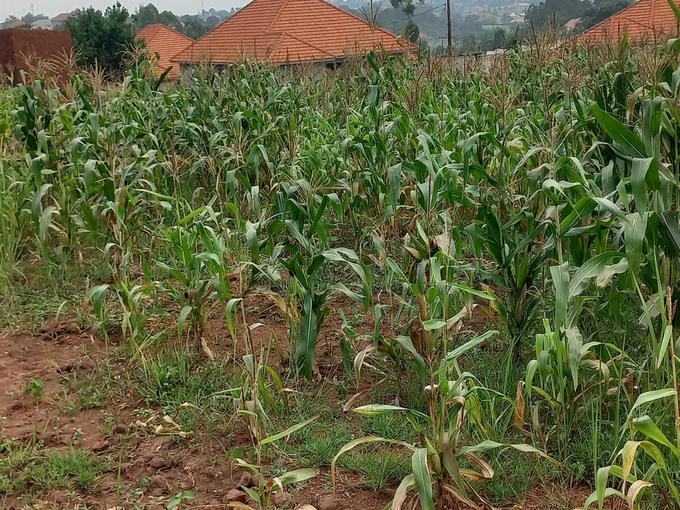 Residential land for sale in Namugongo Wakiso Uganda