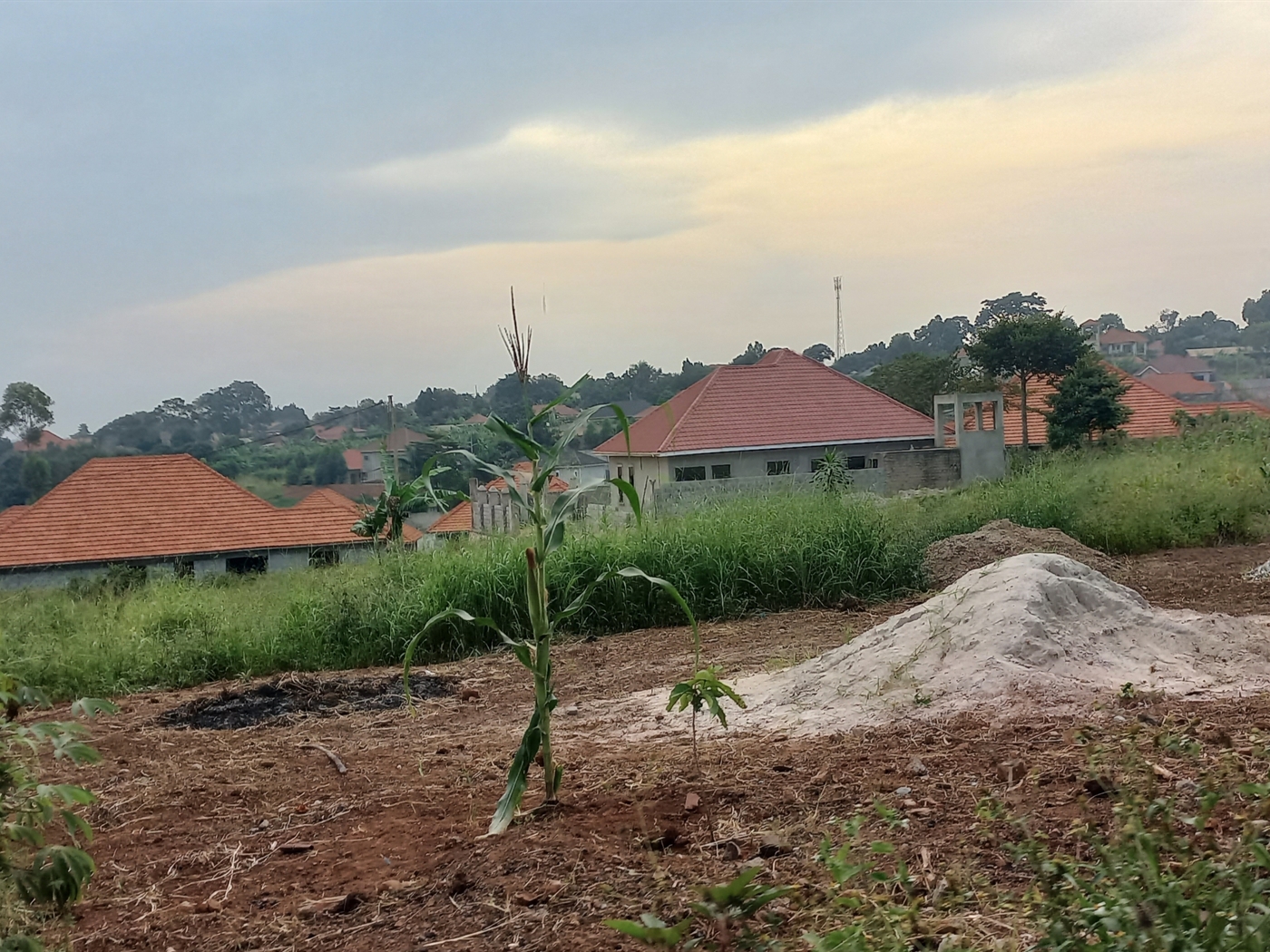 Residential land for sale in Namugongo Wakiso Uganda