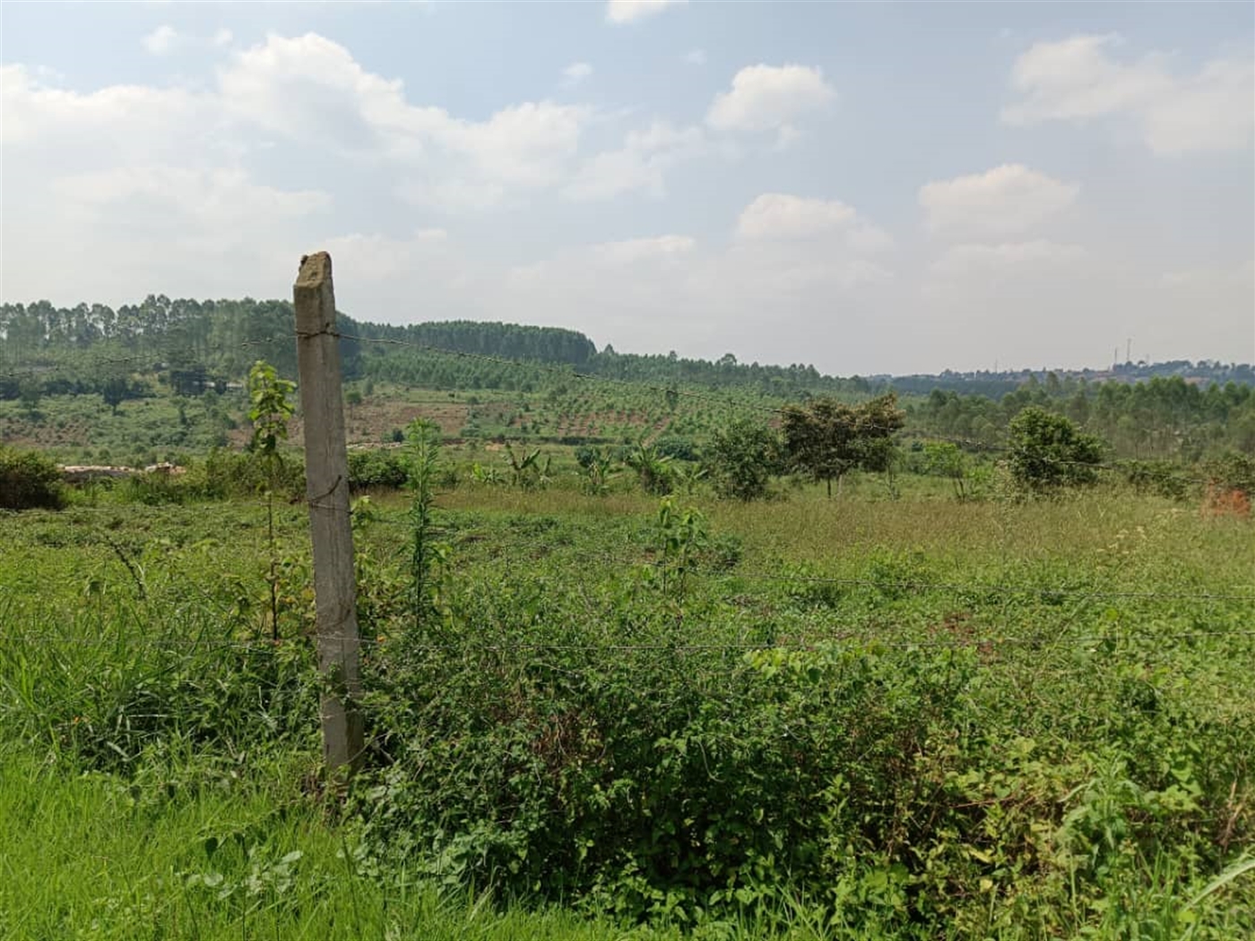 Residential land for sale in Namugongo Wakiso Uga...