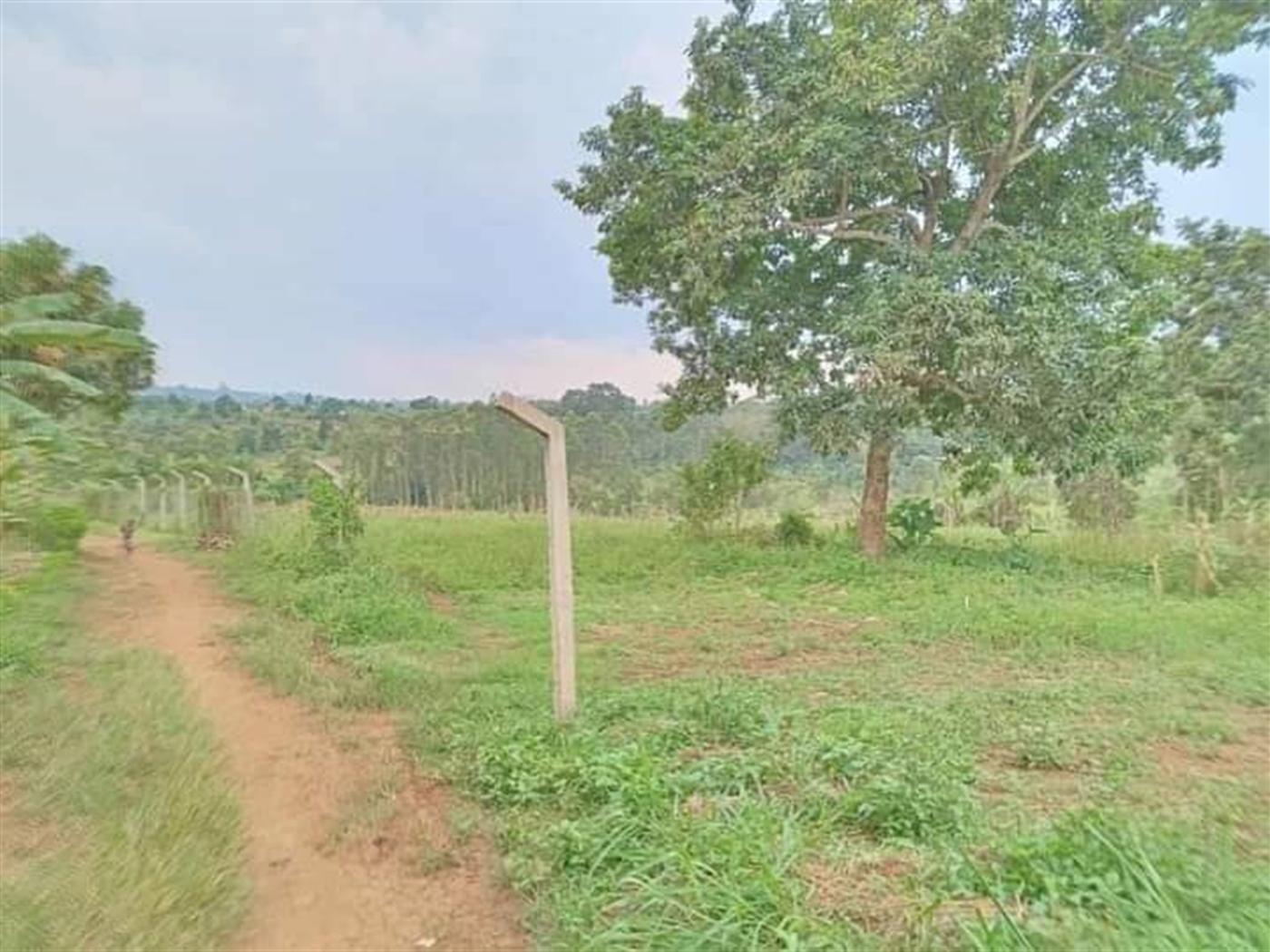 Residential land for sale in Namugongo Wakiso Uganda