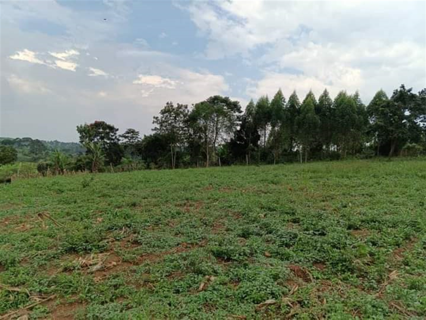 Residential land for sale in Namugongo Wakiso Uganda