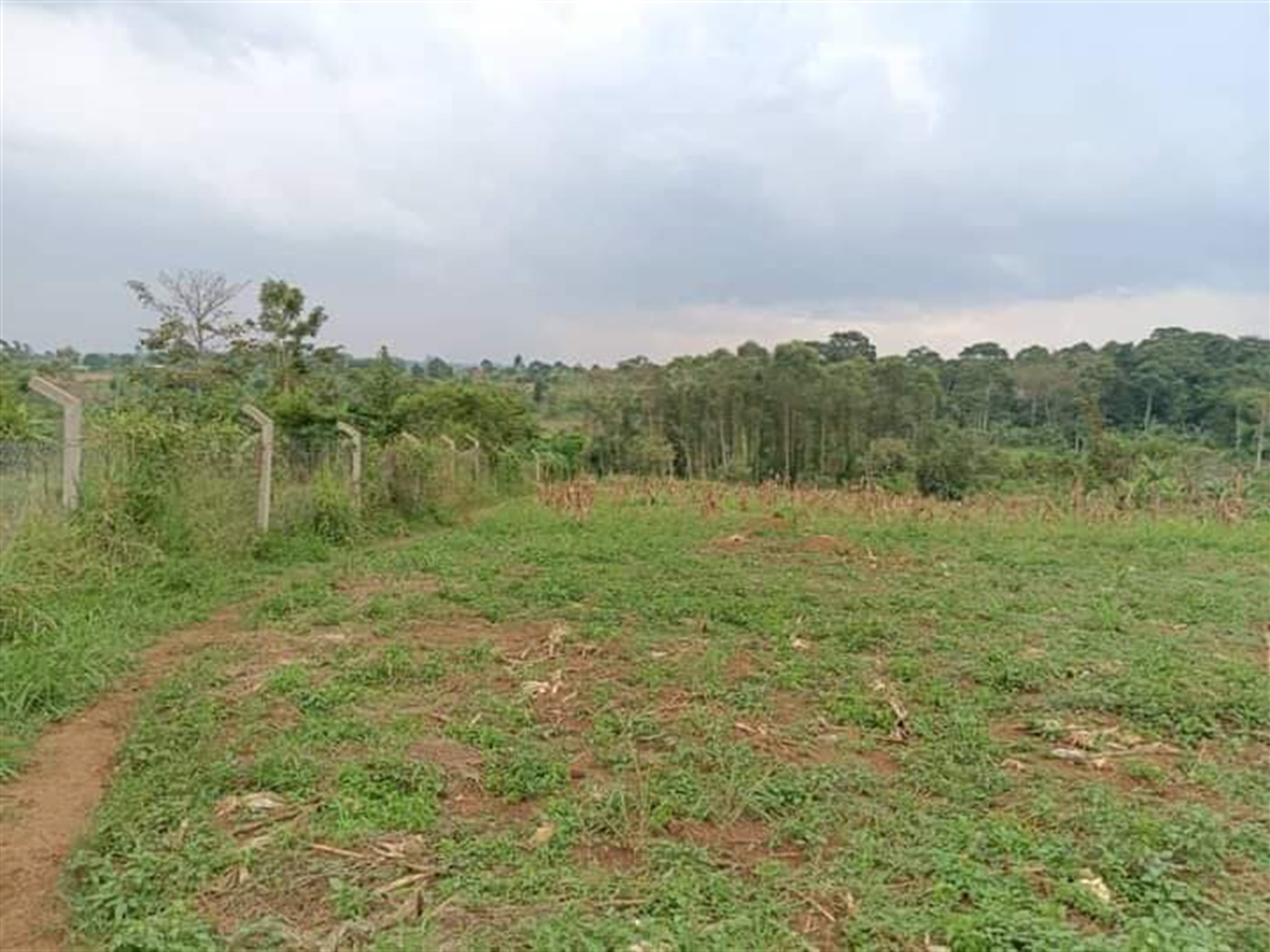 Residential land for sale in Namugongo Wakiso Uganda