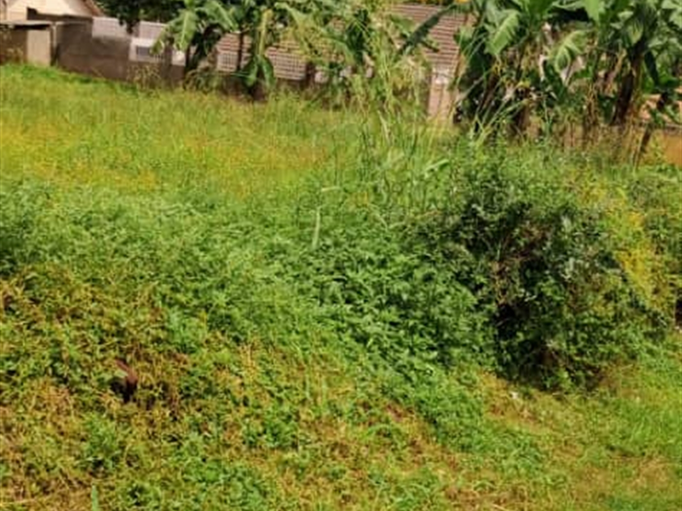 Residential land for sale in Kisaasi Wakiso Uganda