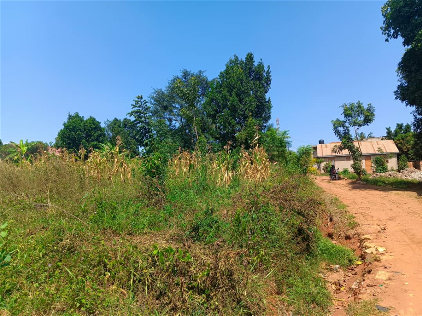 Residential land for sale in Kisaasi Kampala Uganda