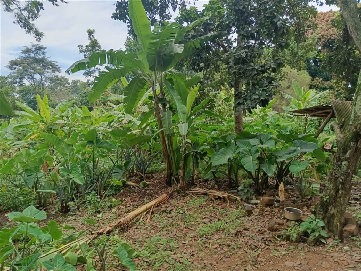 Residential land for sale in Namugongo Wakiso Ugan...