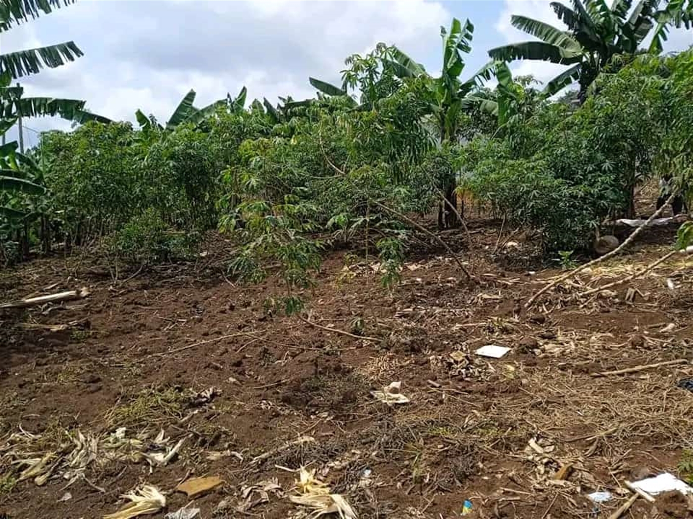 Residential land for sale in Namugongo Wakiso Uganda