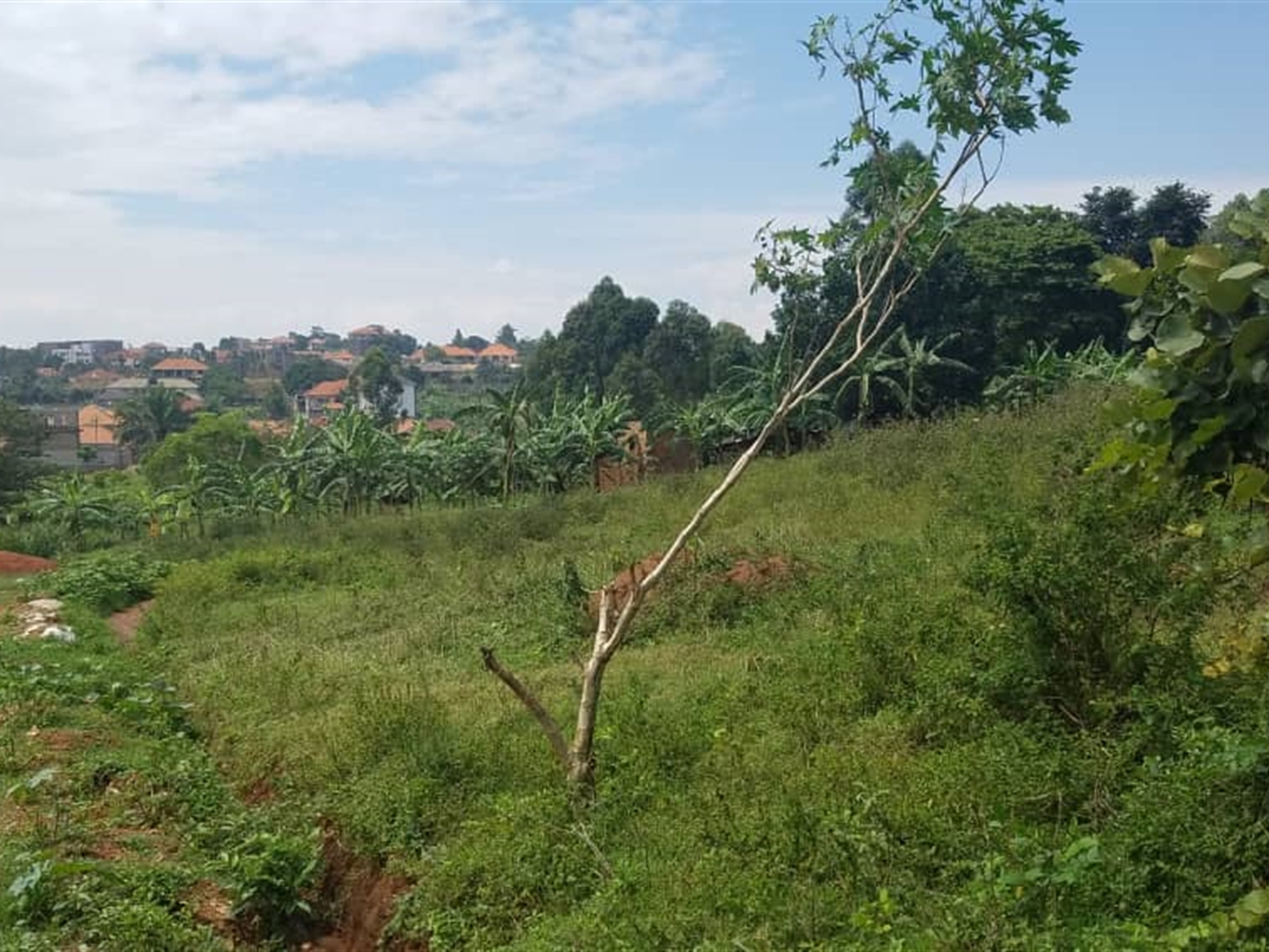 Residential land for sale in Namugongo Wakiso Uganda