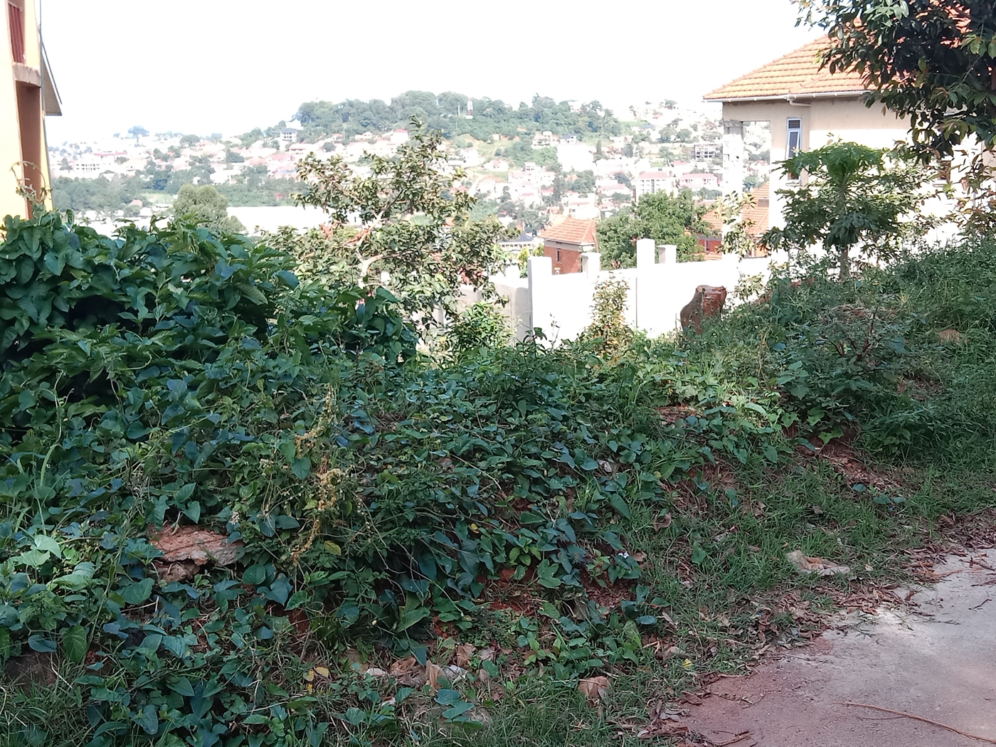 Residential land for sale in Seguku Wakiso Uganda