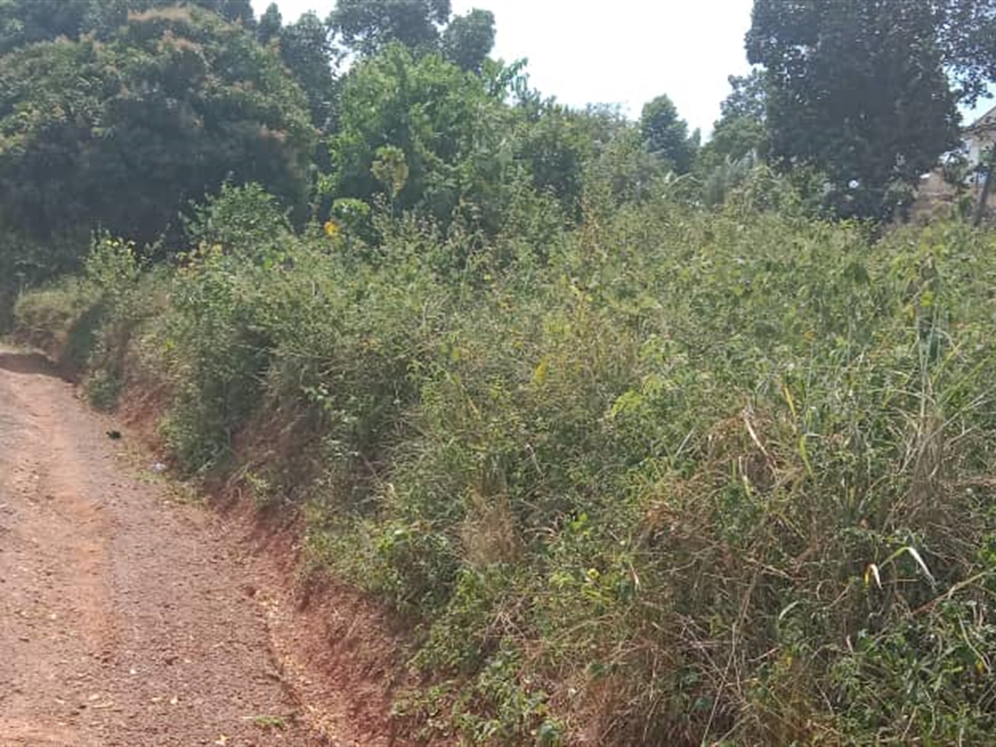 Residential land for sale in Seguku Wakiso Uganda