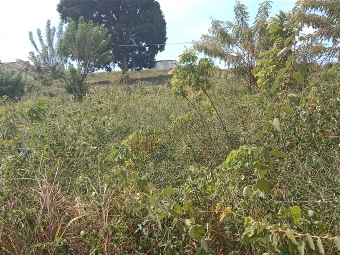 Residential land for sale in Seguku Wakiso Uganda