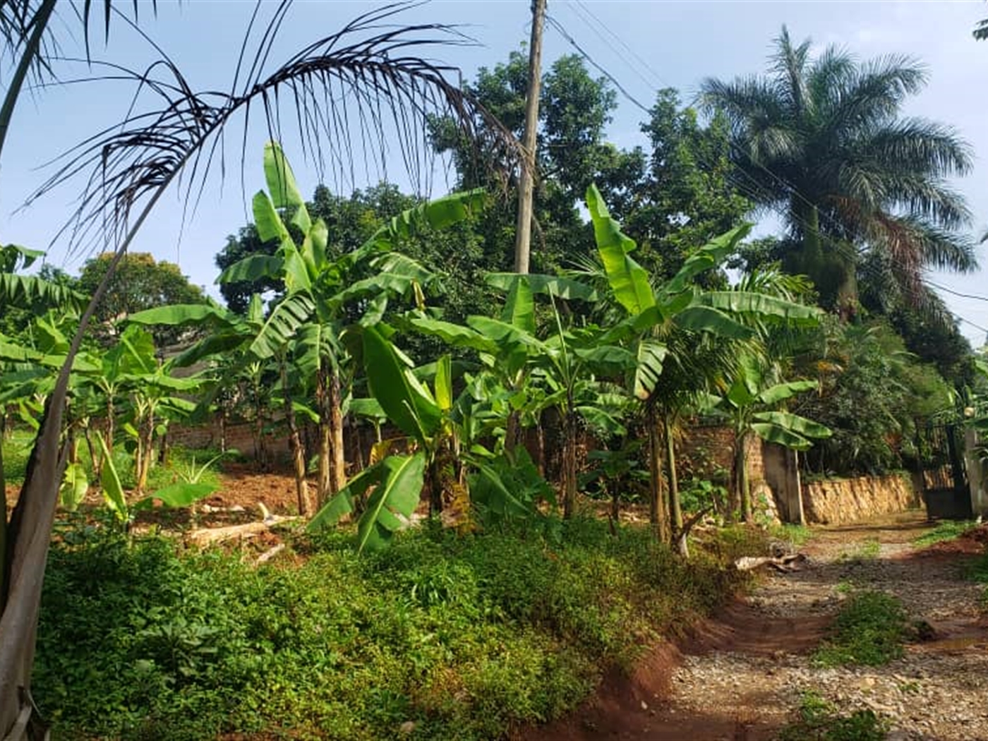Residential land for sale in Zanabunamwaya Wakiso Uganda