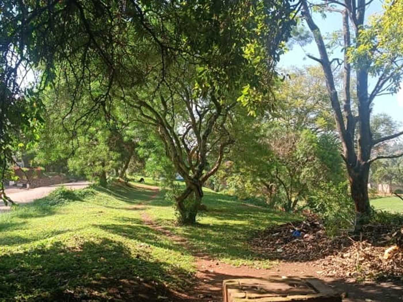 Residential land for sale in Ntinda Kampala Uganda
