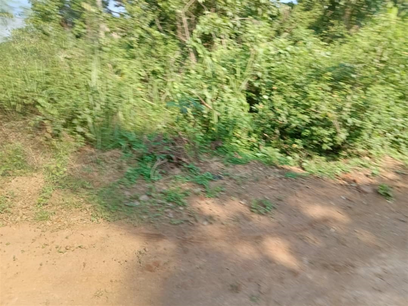 Residential land for sale in Wantoni Mukono Uganda