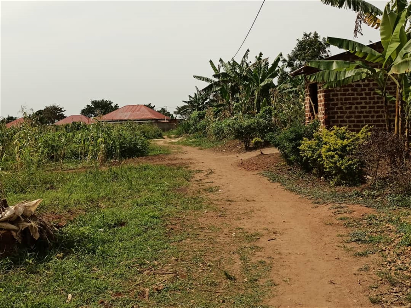 Residential land for sale in Ssemuto Nakaseke Uganda