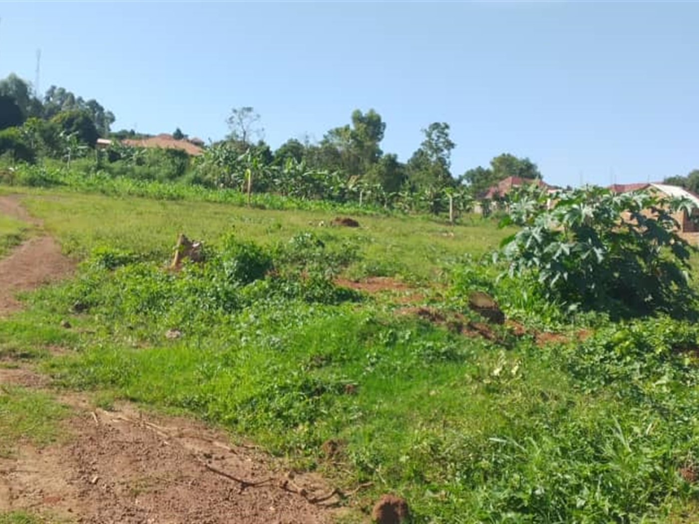 Residential land for sale in Sonde Wakiso Uganda