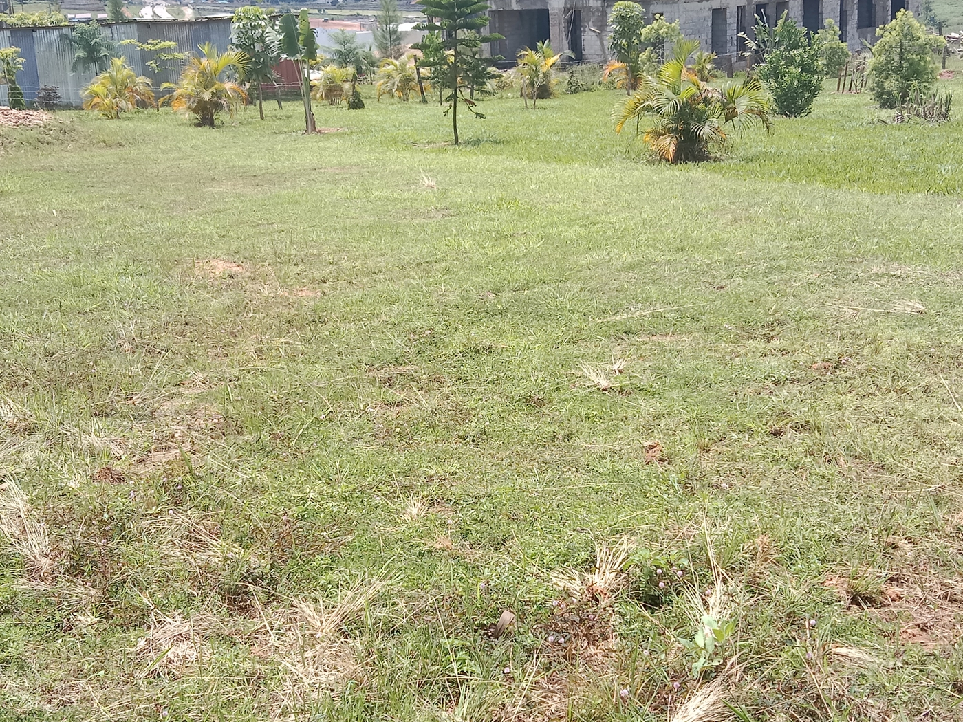 Residential land for sale in Lubowa Wakiso Uganda