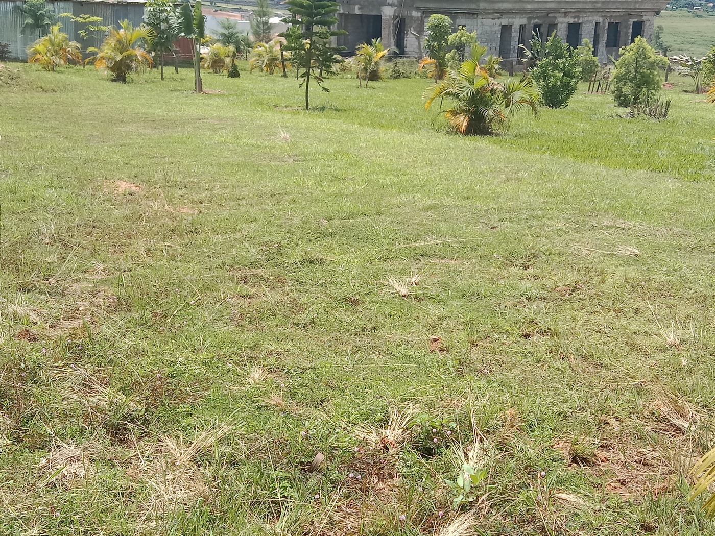 Residential land for sale in Lubowa Wakiso Uganda