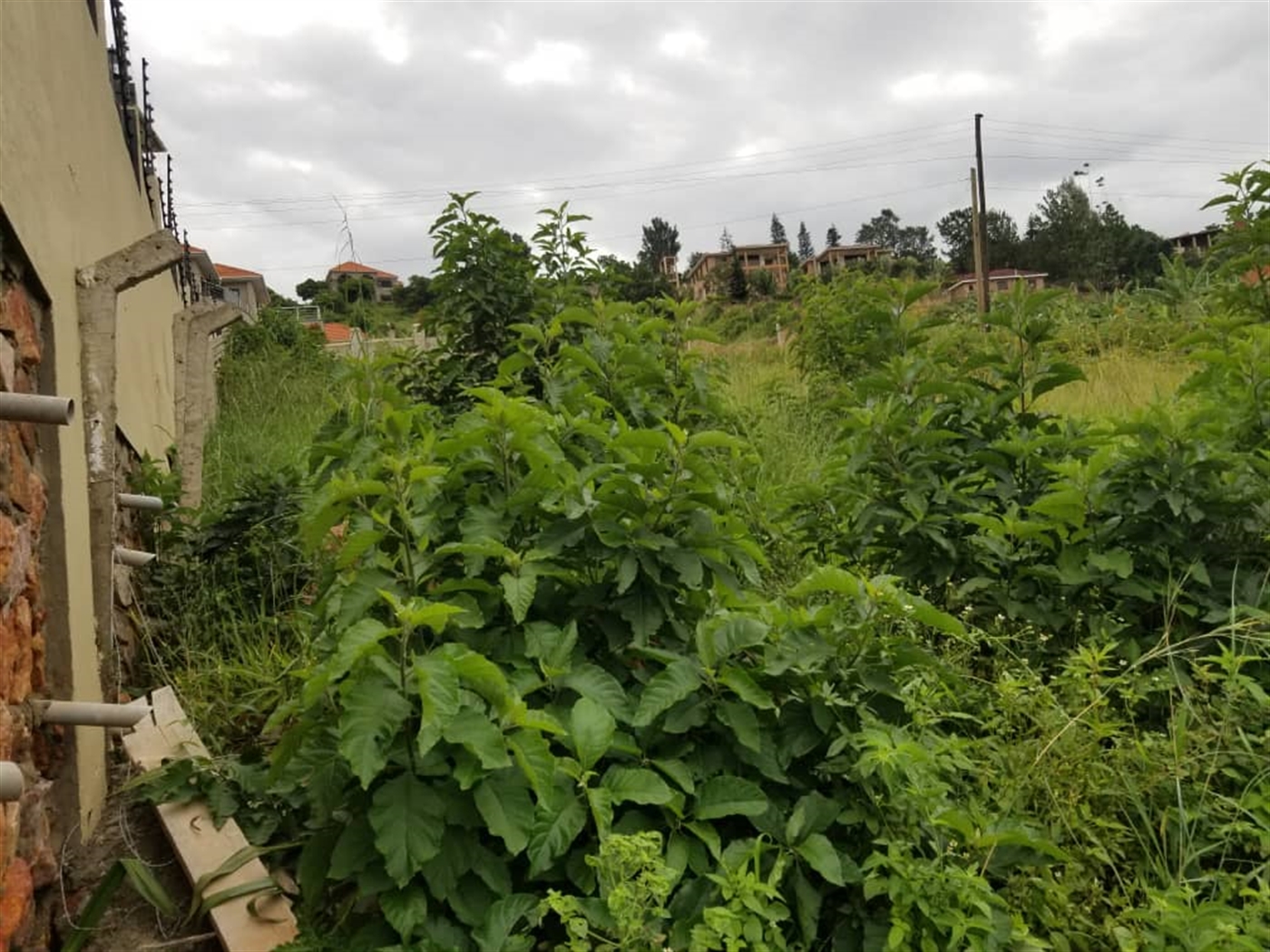 Residential land for sale in Lubowa Wakiso Uganda
