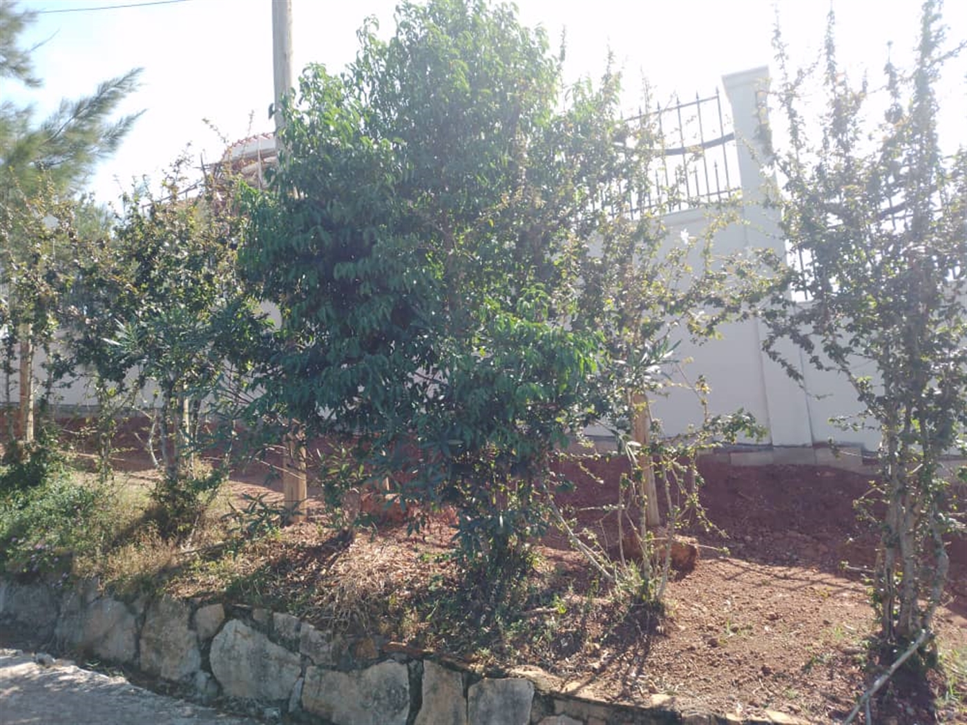 Residential land for sale in Lubowa Wakiso Uganda