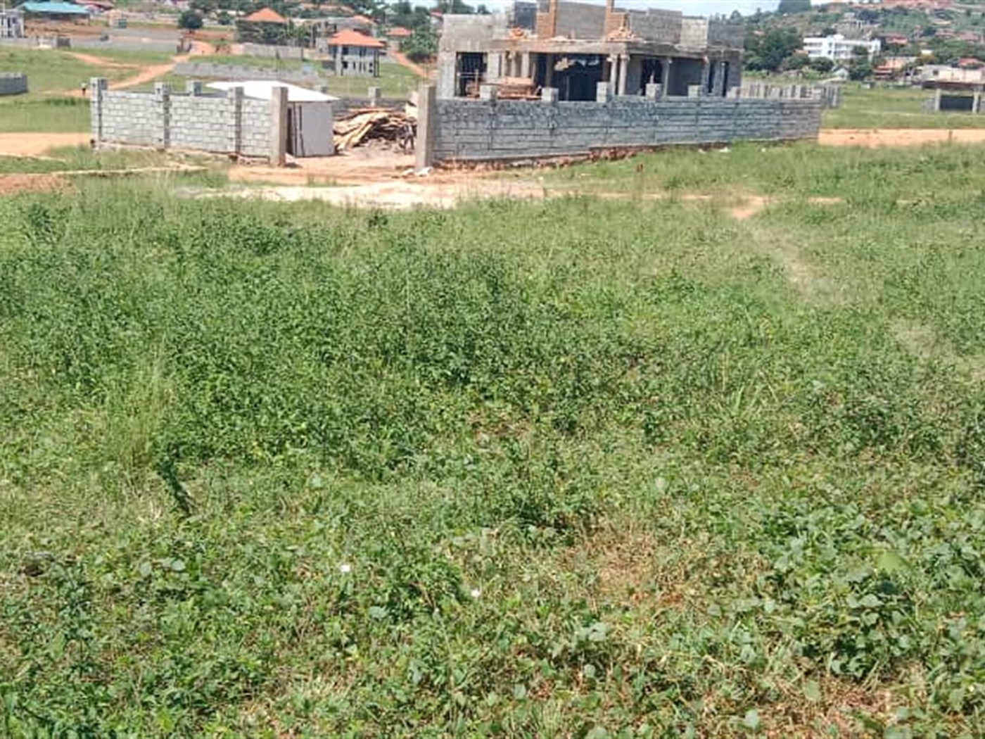 Residential land for sale in Kigo Wakiso Uganda