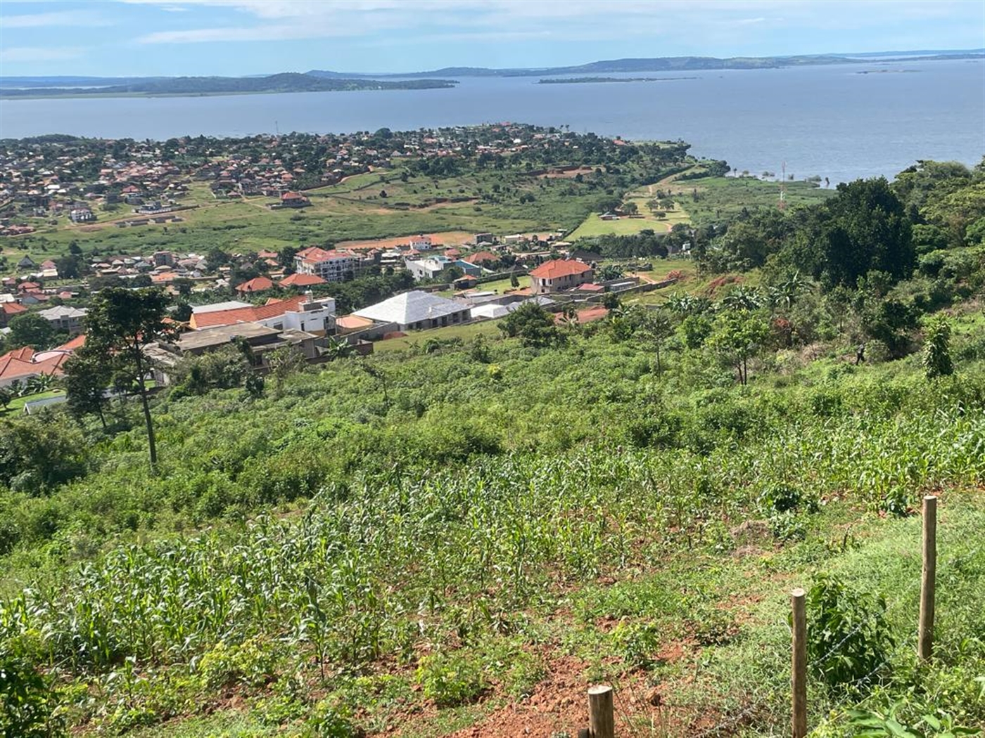 Residential land for sale in Kigo Wakiso Uganda