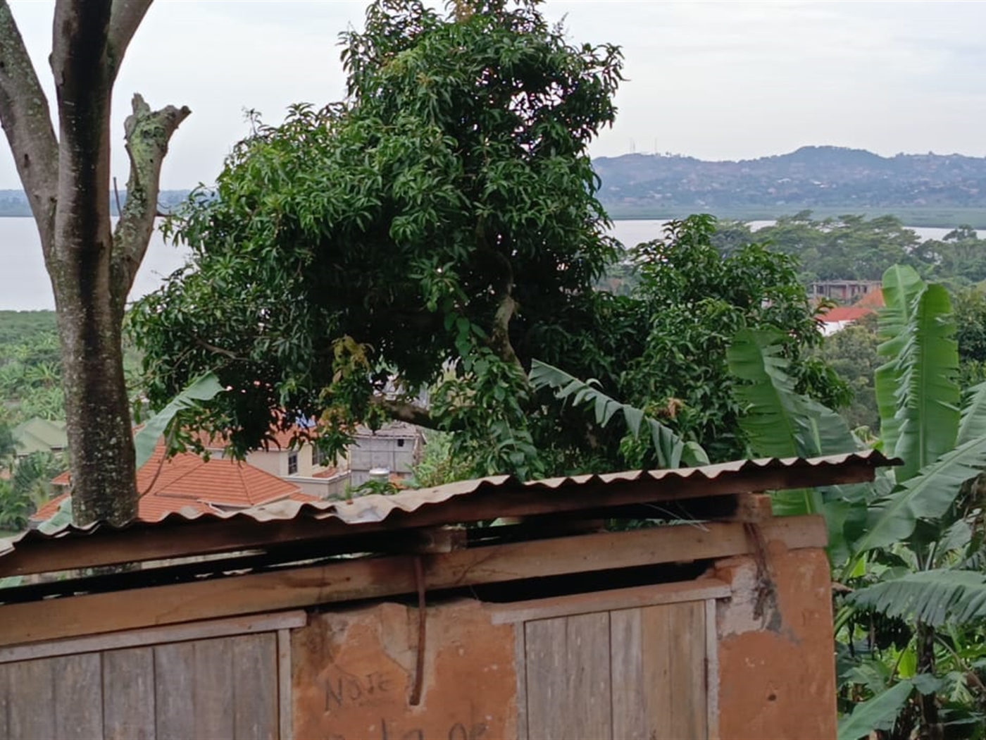 Residential land for sale in Kigo Wakiso Uganda