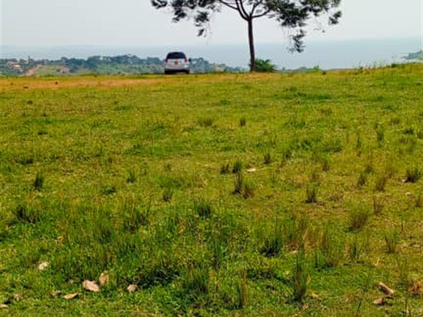 Residential land for sale in Kigo Wakiso Uganda
