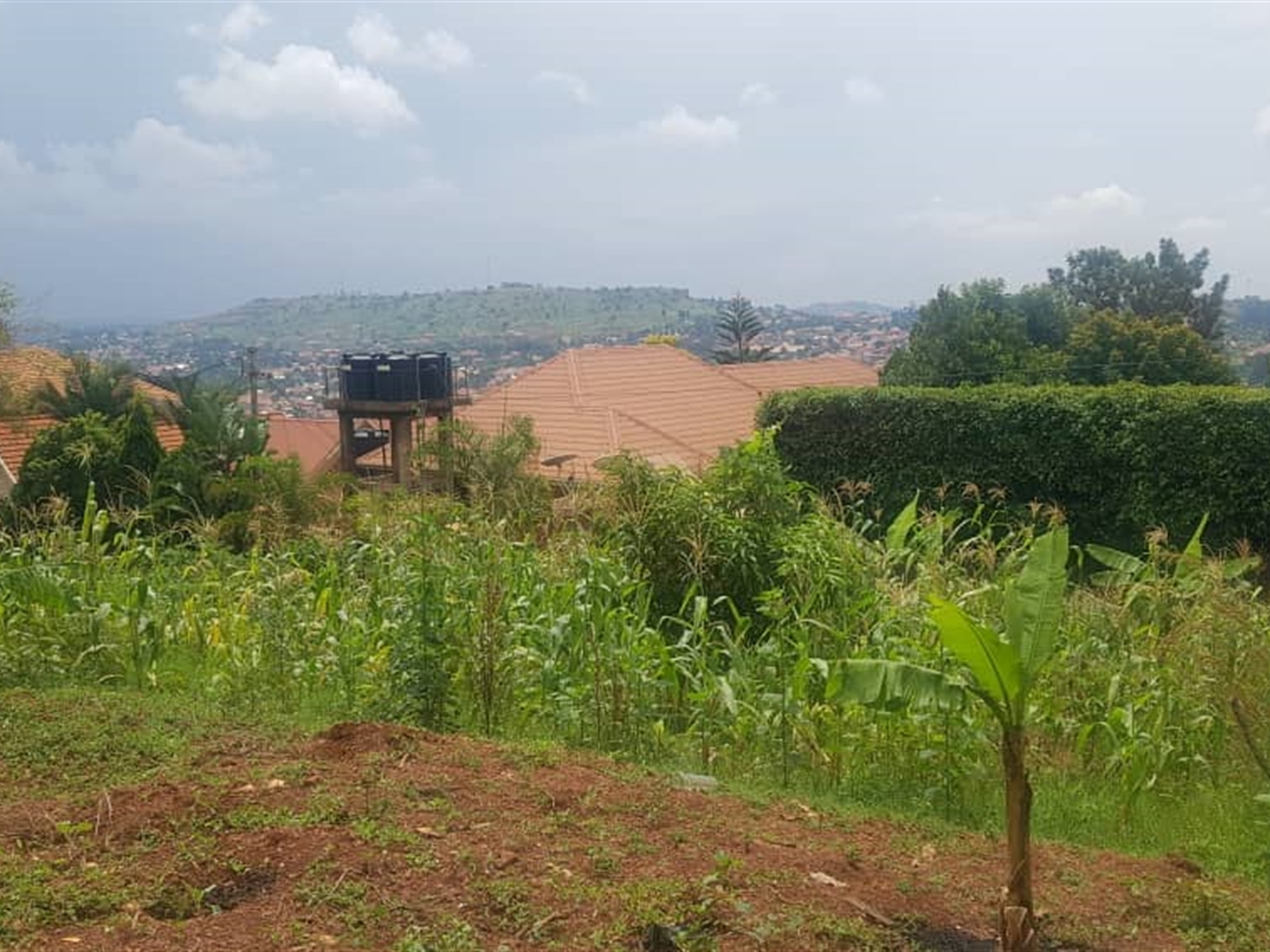 Residential land for sale in Nalumunye Wakiso Ugan...