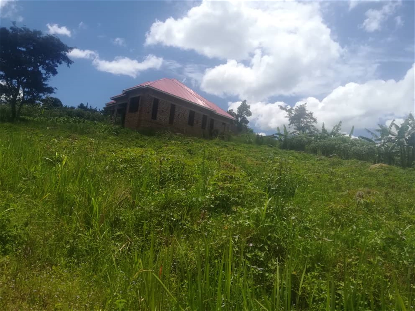 Residential land for sale in Kakiri Wakiso Uganda