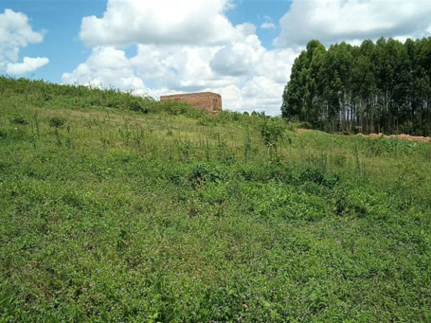 Residential land for sale in Kiwenda Wakiso Uganda,
