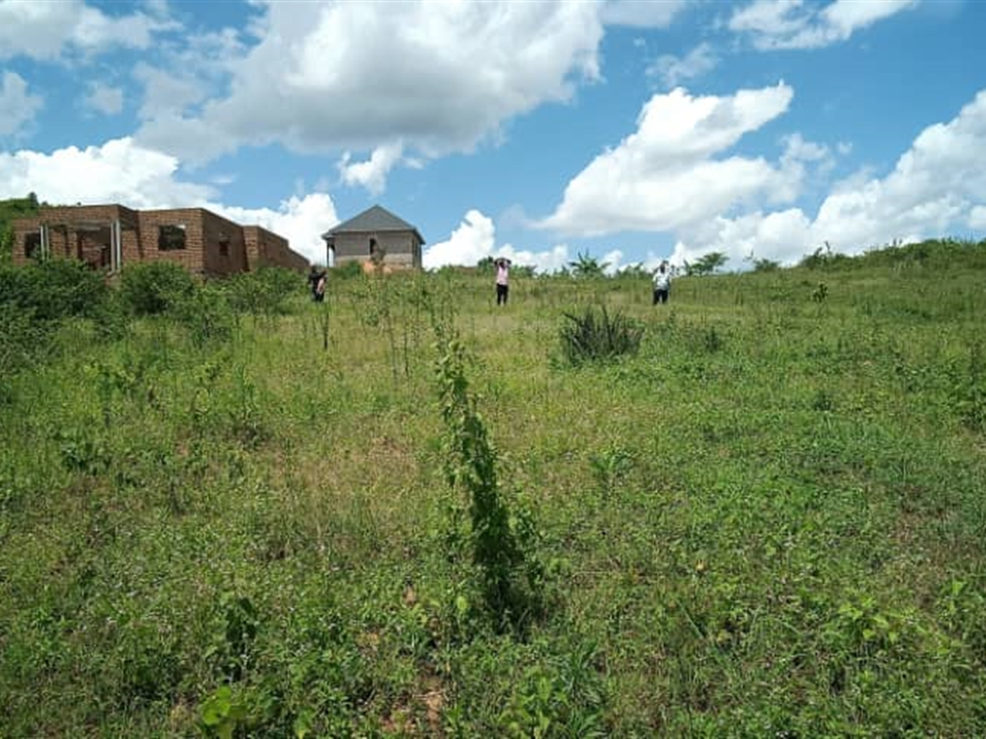 Residential land for sale in Kiwenda Wakiso Uganda,