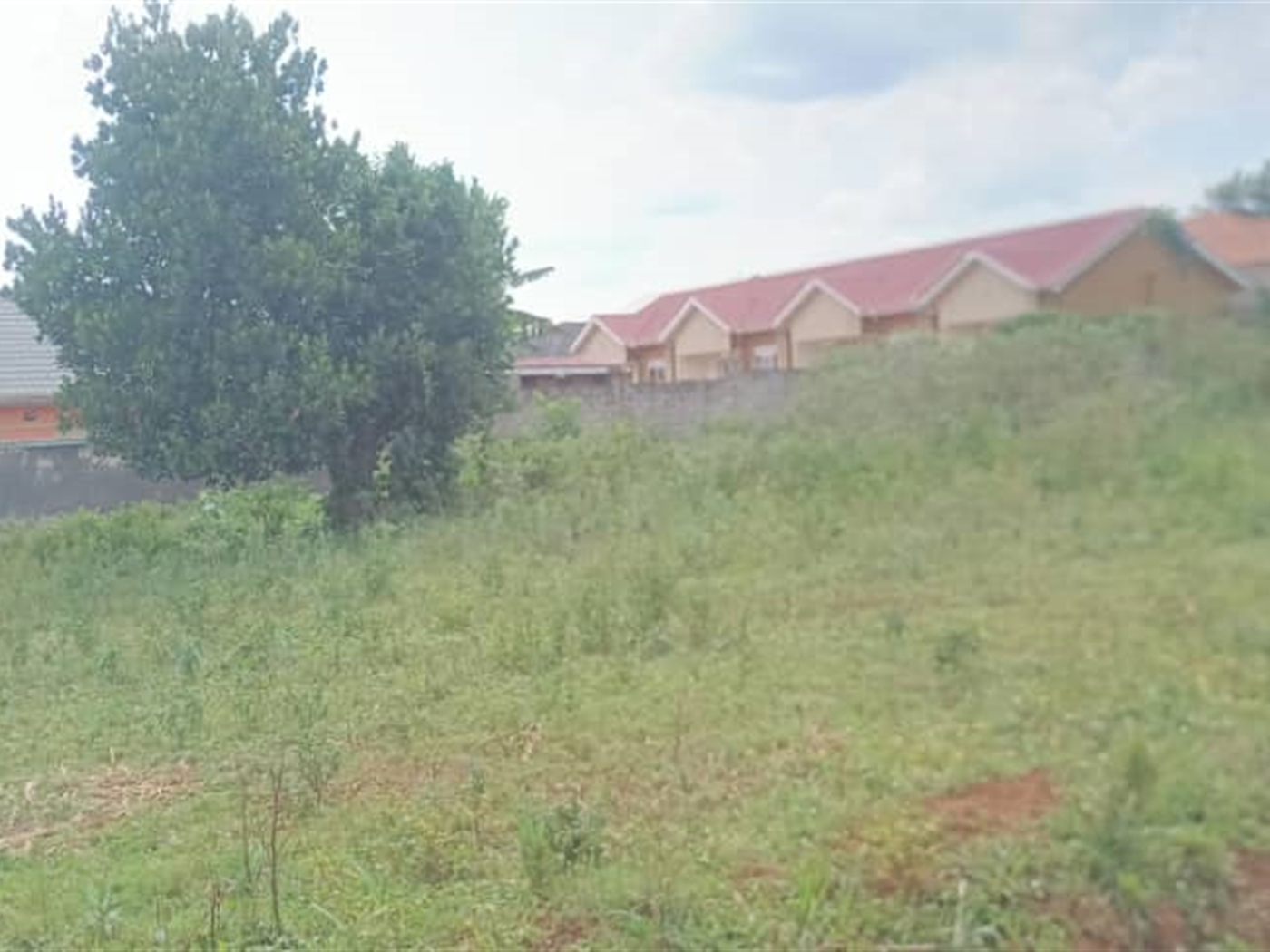 Residential land for sale in Kiwenda Wakiso Uganda