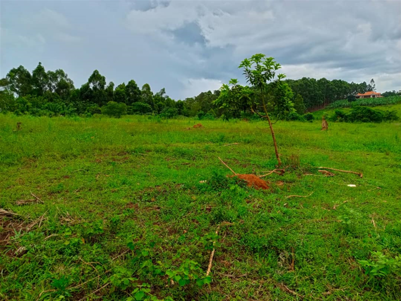 Residential land for sale in Kiwenda Wakiso Uganda