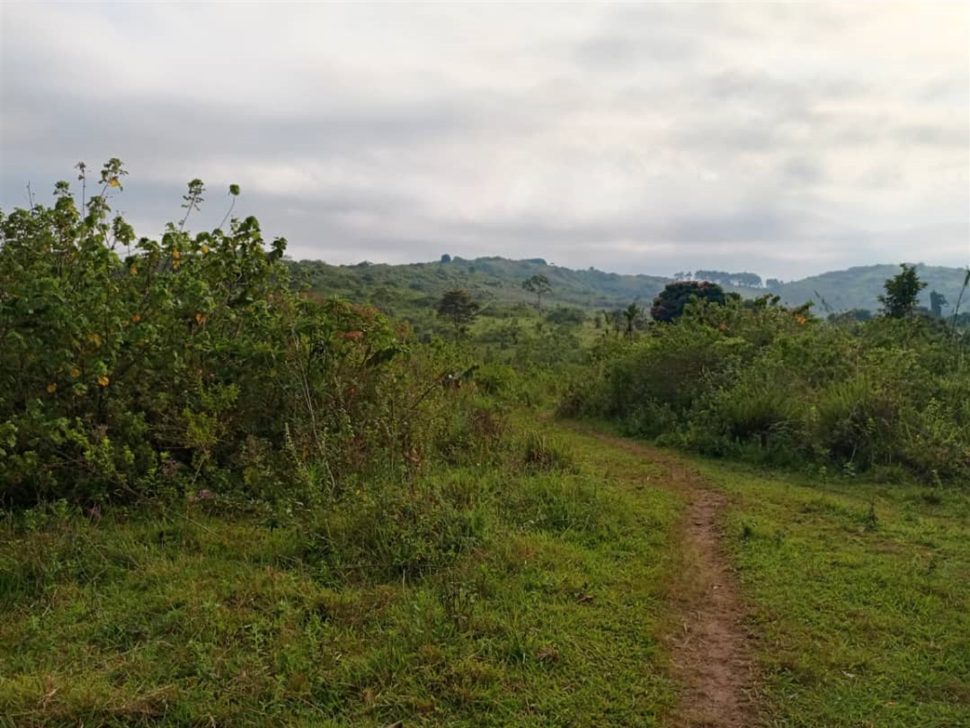 Residential land for sale in Kitende Wakiso Uganda