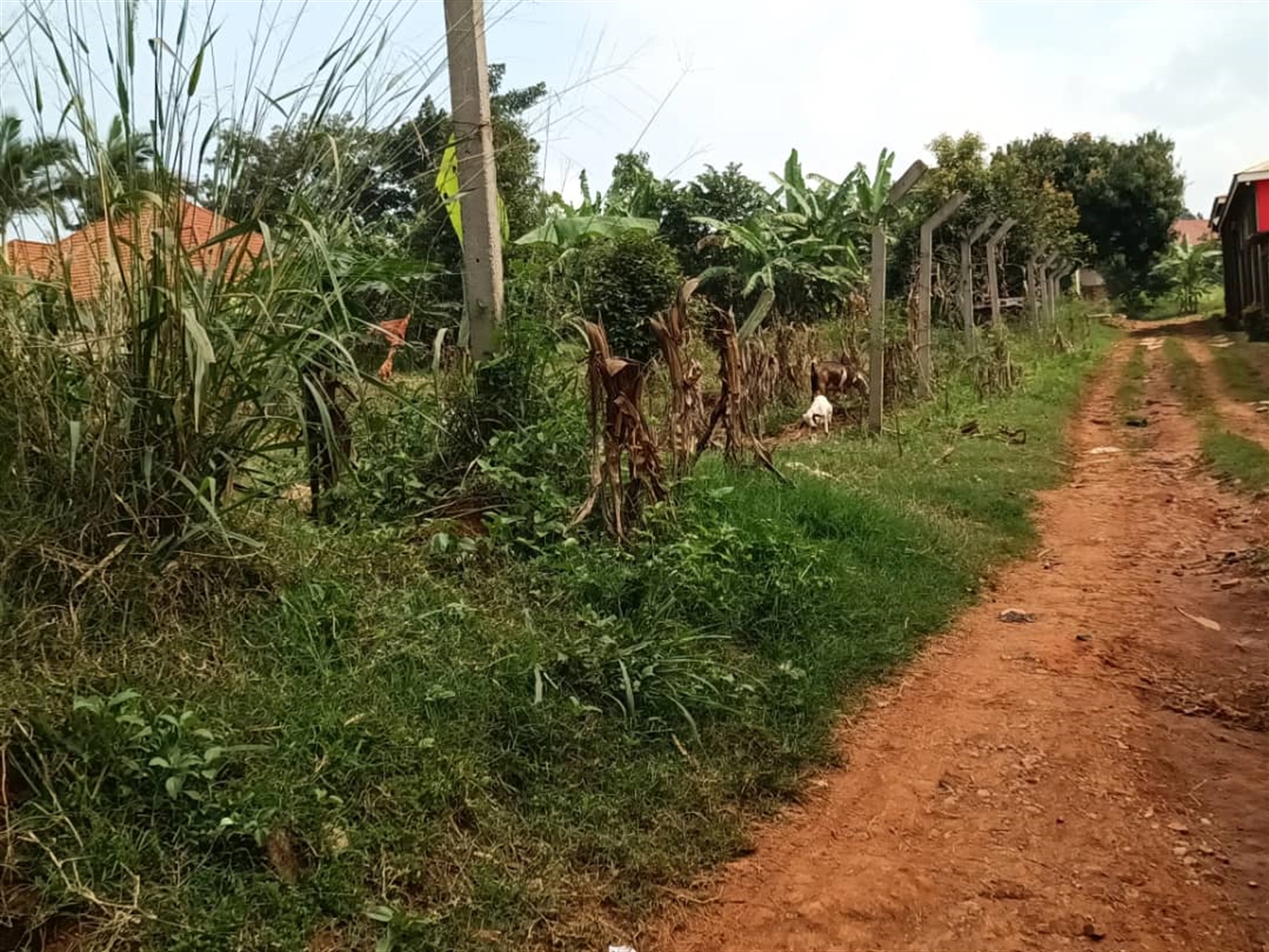 Residential land for sale in Kitende Wakiso Uganda