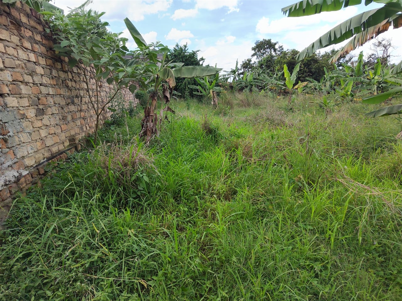 Residential land for sale in Lungujja Kampala Uganda